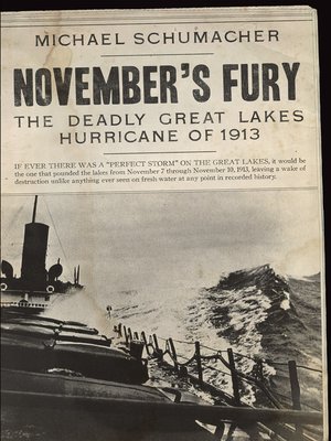 cover image of November's Fury